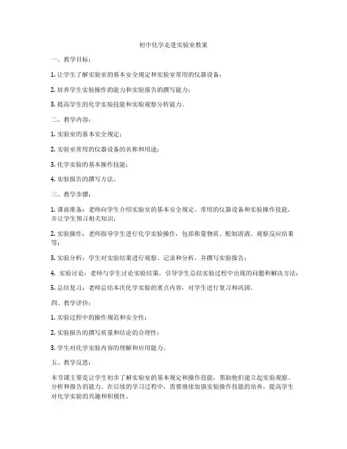 初中化学走进实验室教案