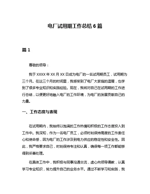 电厂试用期工作总结6篇