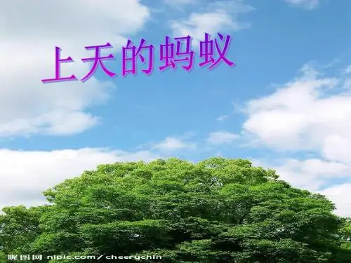 上天的蚂蚁