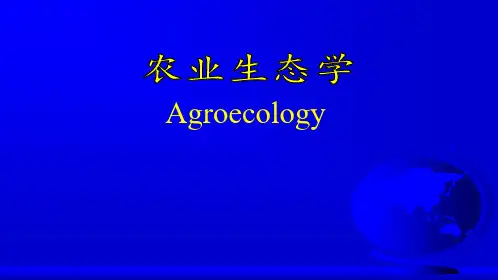能量流动与转化的基本原理