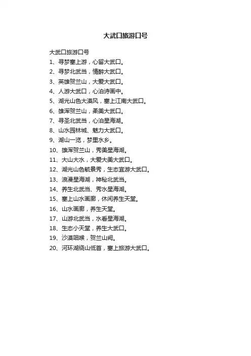 大武口旅游口号