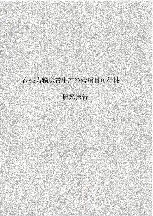 【报审完整版】高强力输送带生产经营项目可行性研究报告