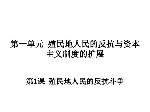 部编版九年级历史下册第1课殖民地人民的反抗斗争课件(20张PPT)