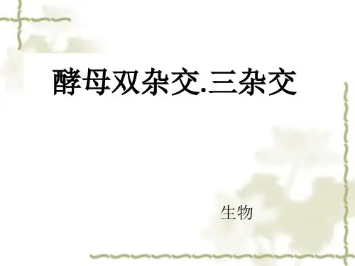 酵母双杂交.三杂交