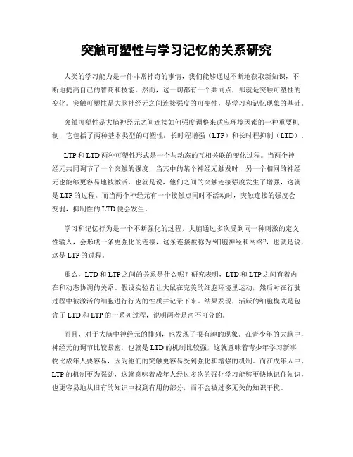 突触可塑性与学习记忆的关系研究