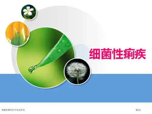 细菌性痢疾医学知识培训专家讲座