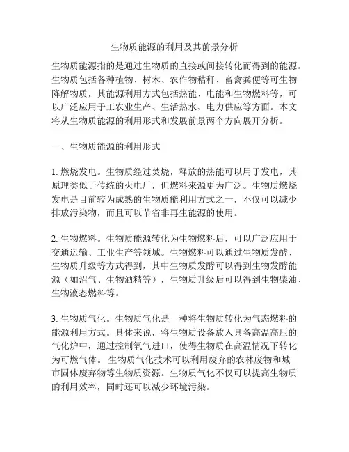 生物质能源的利用及其前景分析