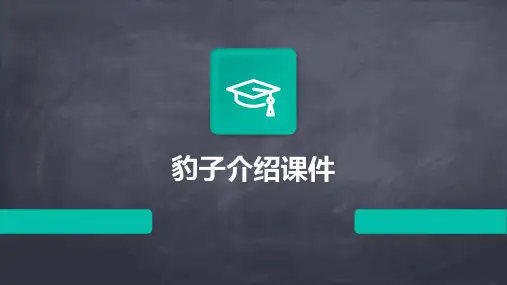豹子介绍课件ppt