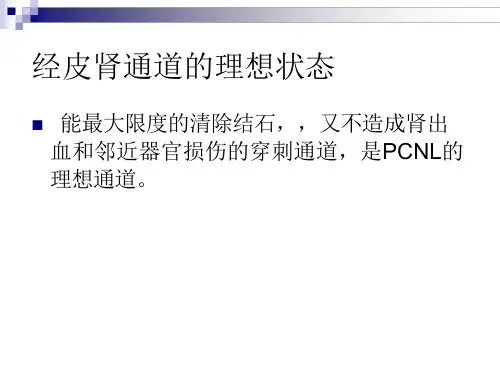 经皮肾镜取石术入路课件