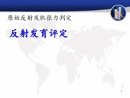 原始反射及肌张力判定 ppt课件