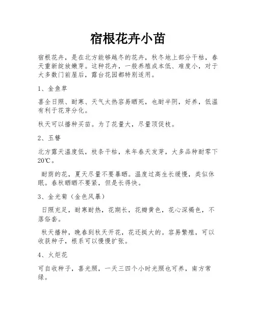 宿根花卉小苗
