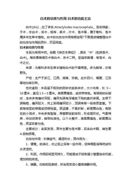 白术的功效与作用白术的功能主治
