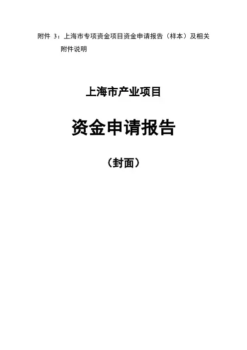 政府项目申报书样例模板(推荐文档)