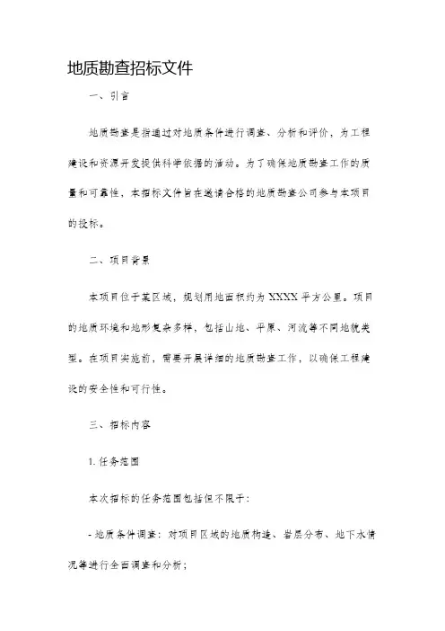 地质勘查招标文件