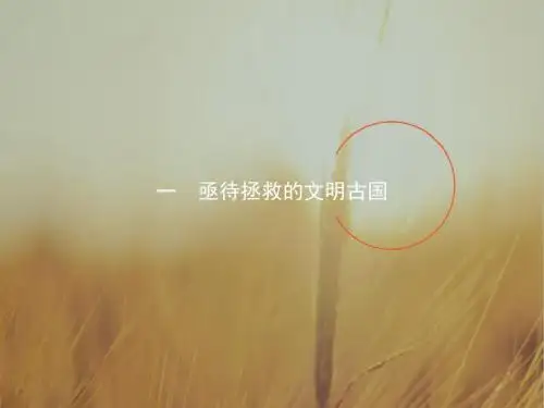 优化设计2017-2018学年高中历史人民版选修1课件：6-1