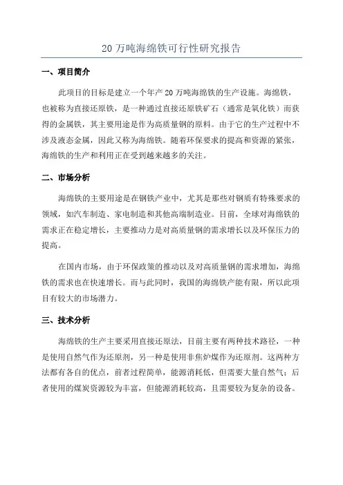 20万吨海绵铁可行性研究报告