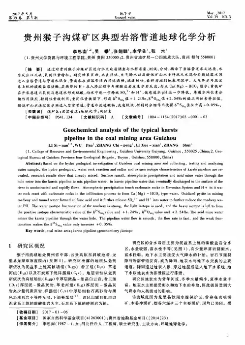 贵州猴子沟煤矿区典型岩溶管道地球化学分析