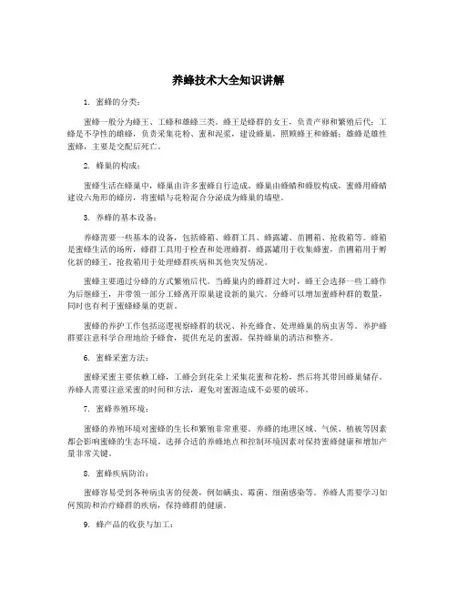 养蜂技术大全知识讲解
