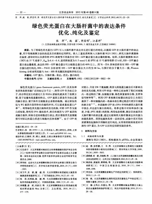 绿色荧光蛋白在大肠杆菌中的表达条件优化、纯化及鉴定
