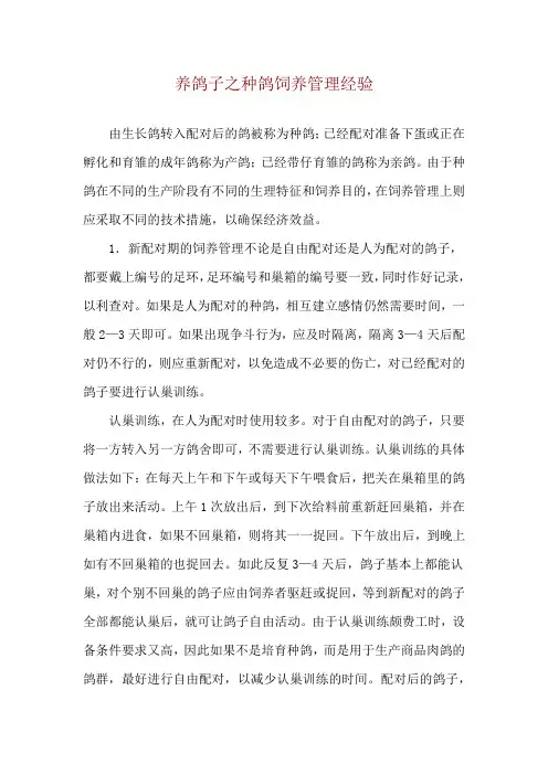 养鸽子之种鸽饲养管理经验