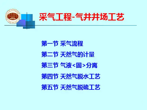 采气工程-气井井场工艺