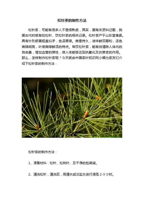 松针茶的制作方法