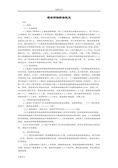 X项目评估报告材料范文