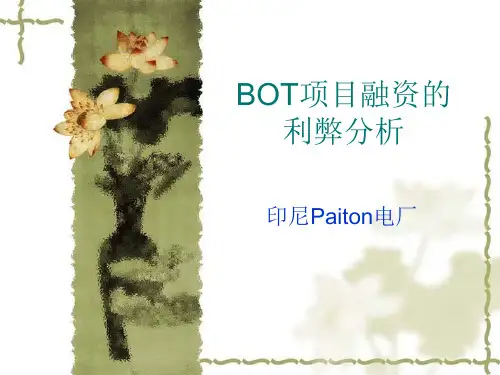 印尼电厂——BOT 项目融资