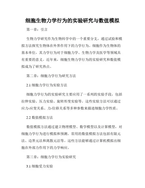 细胞生物力学行为的实验研究与数值模拟