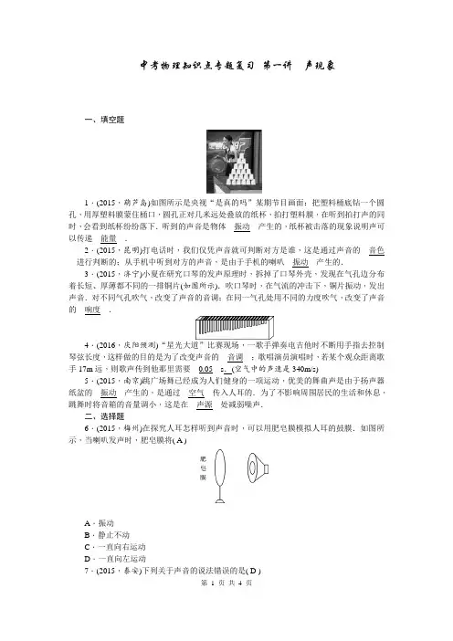 中考物理知识点专题复习 第一讲声现象