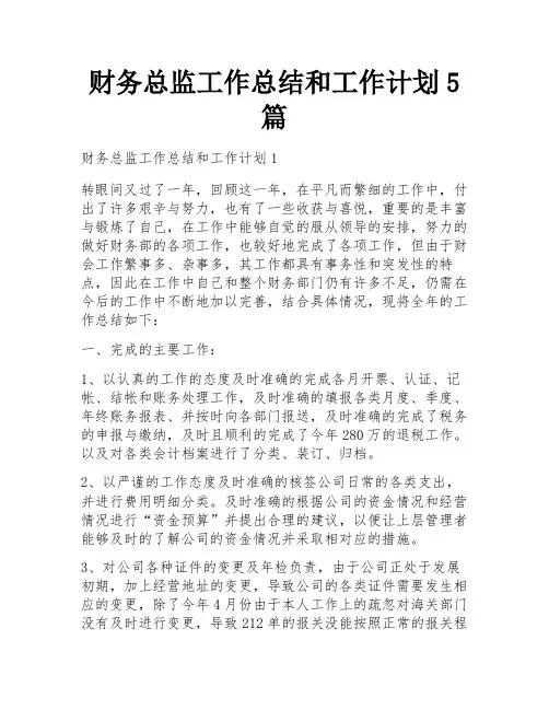 财务总监工作总结和工作计划5篇