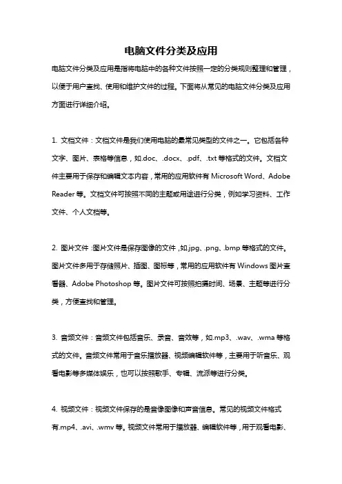 电脑文件分类及应用