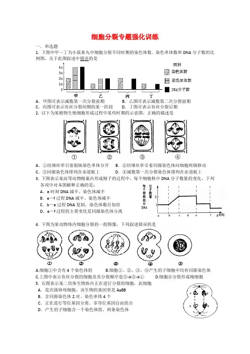 2020年高考生物强化训练：细胞分裂 精品