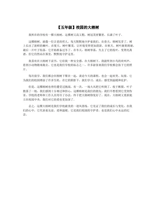 【五年级】校园的大榕树