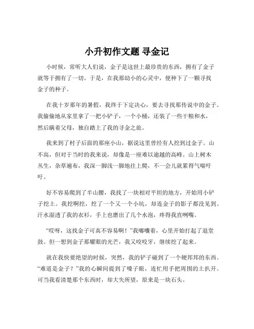 小升初作文题 寻金记