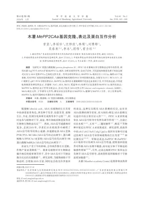 木薯MePP2CAa基因克隆、表达及蛋白互作分析