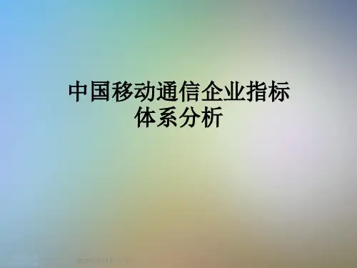 中国移动通信企业指标体系分析