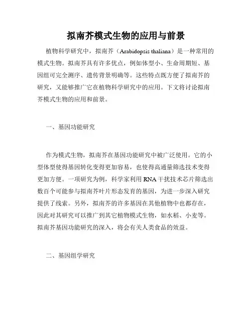 拟南芥模式生物的应用与前景