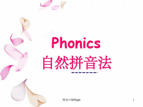 自然拼读字母 A-N