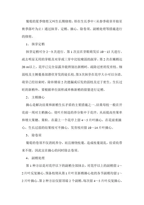 葡萄的修剪技术——夏季修剪