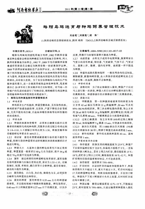 略阳乌鸡选育与种鸡饲养管理技术