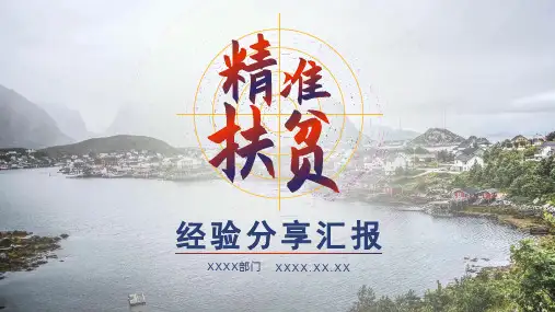 精准扶贫经验分享汇报工作总结述职报告PPT模板