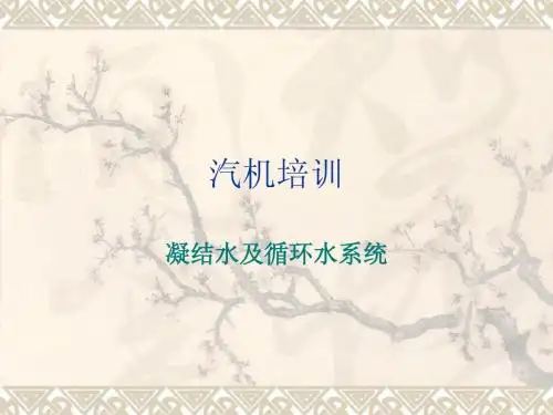 2汽机培训(凝结水及循环水系统)