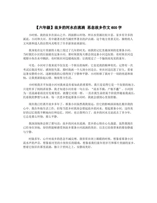 【六年级】故乡的河水在流淌 思念故乡作文600字