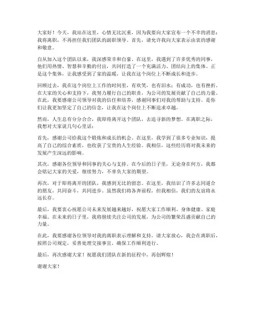 副职领导离职发言稿