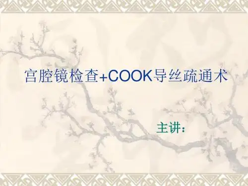 培训资料--宫腔镜检查cook导丝