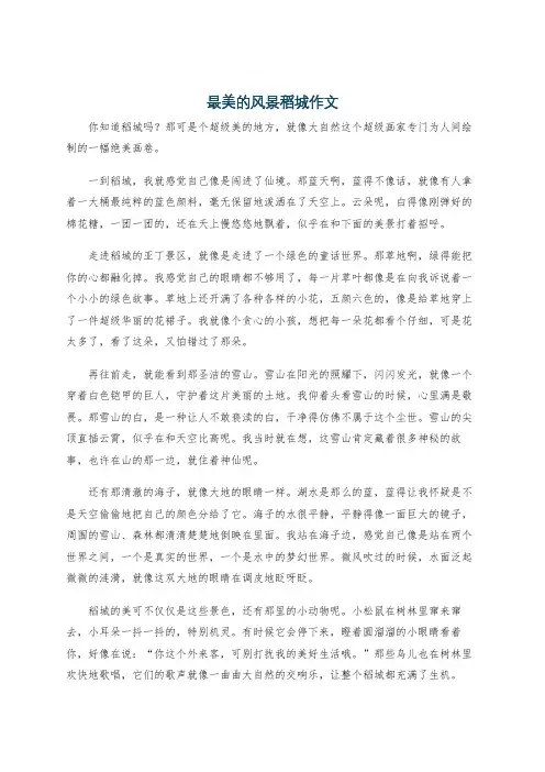 最美的风景稻城作文
