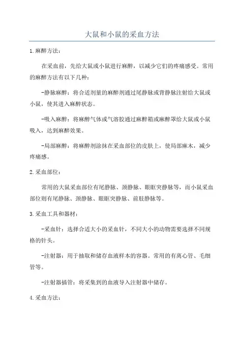 大鼠和小鼠的采血方法