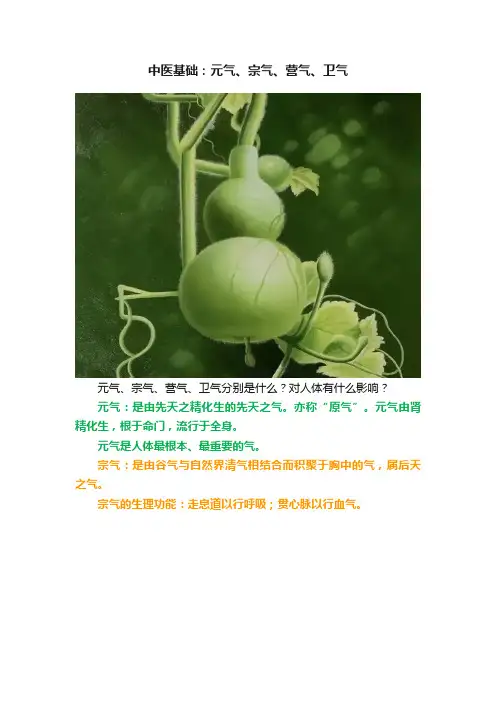 中医基础：元气、宗气、营气、卫气