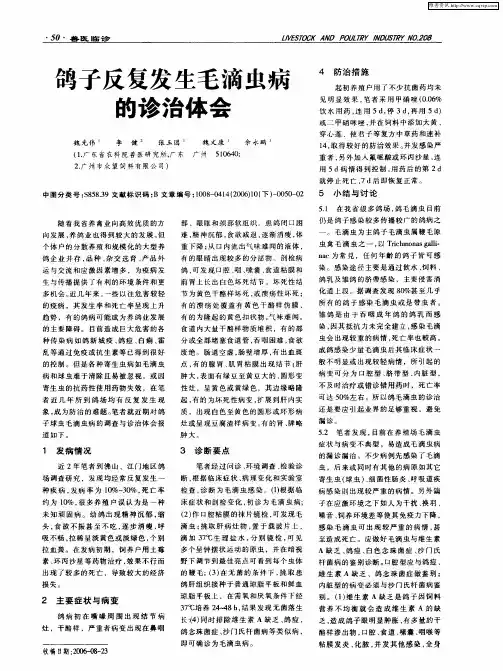 鸽子反复发生毛滴虫病的诊治体会
